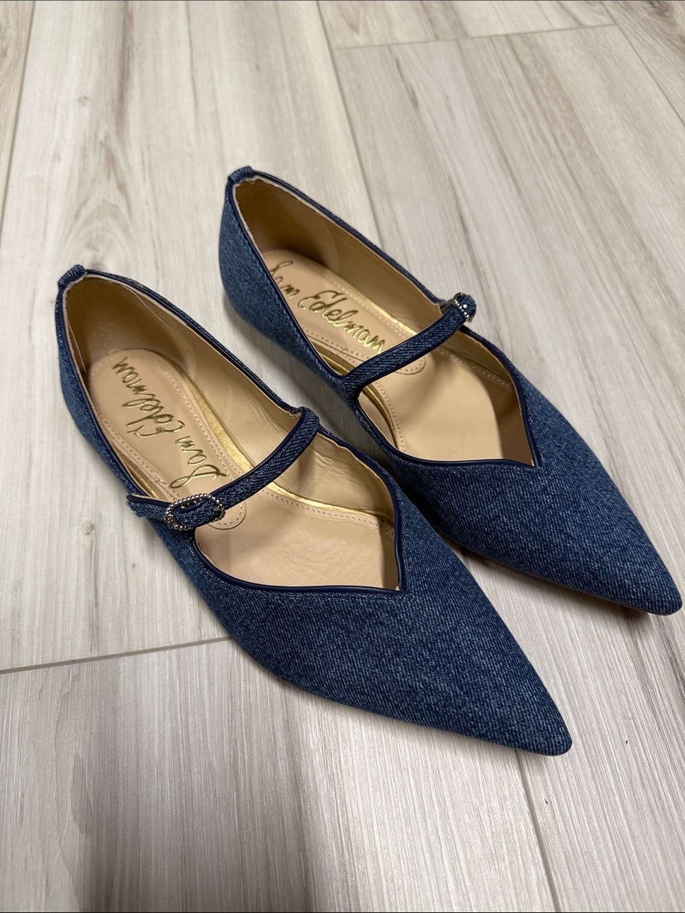 Sam Edelman Mary Jane Flats in Dark Denim